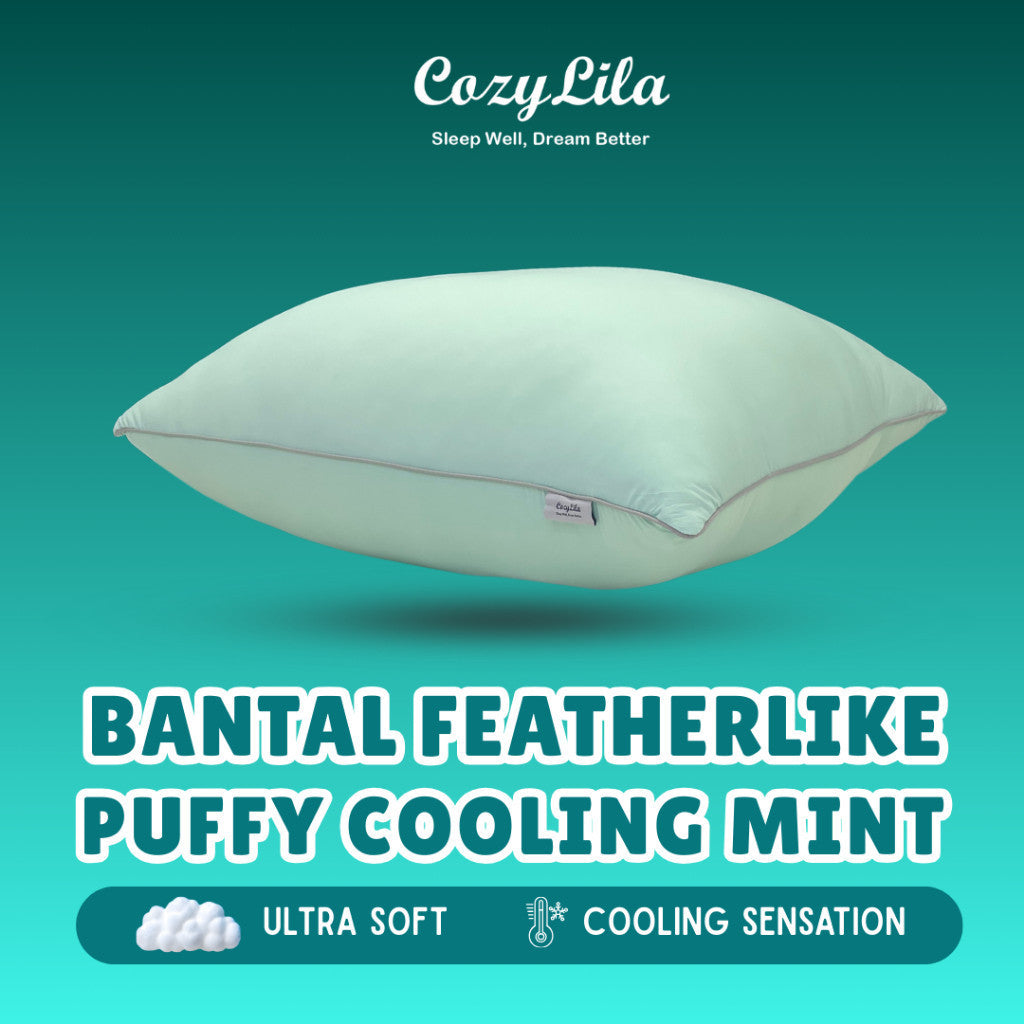 Bantal Bulu Angsa Featherlike Puffy Cooling Mint Free Sarung Bantal Premium Cooling