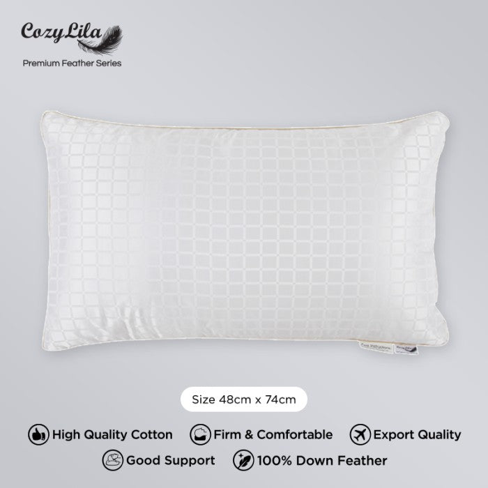 Bantal Bulu Angsa 100% Down Sutera (Soft Smooth Silk) Tampak Atas